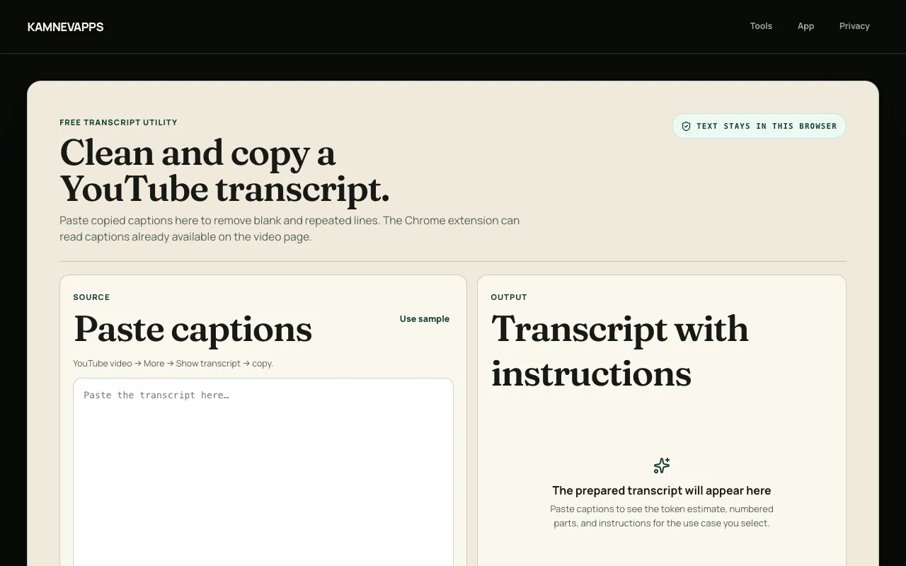 Screenshot of YouTube Transcript Cleaner